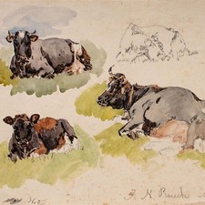 Johann Nepomuk Rauch Kühe Tierstudie signiert Aquarell Zeichnung 1840 Original