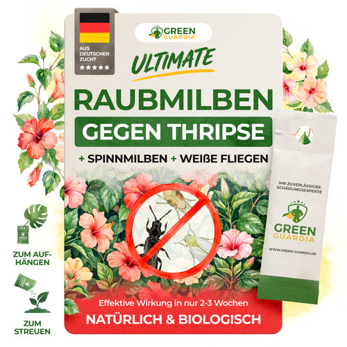 Turbo raubmilben swirskii - turbo,