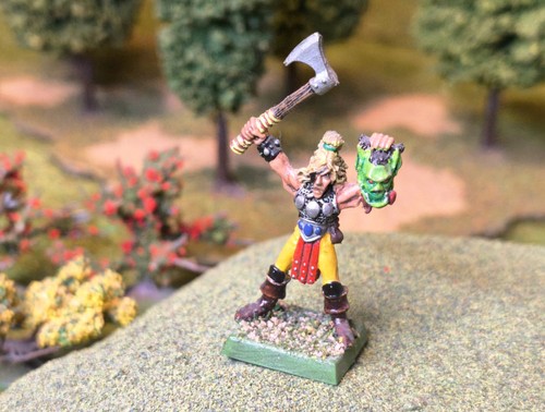 Wood elf champion elves - champion,