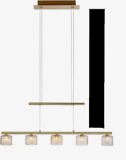 Paul Neuhaus 2209-60 HYDRA Pendelleuchte 5-flammig Messing Matt warmweiß 3000K