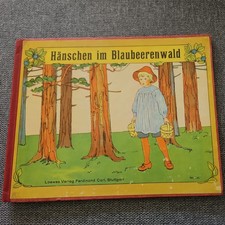 Buch: Hänschen im Blaubeerenwald, Karsten Brandt / Elsa Beskow, Loewes Verlag