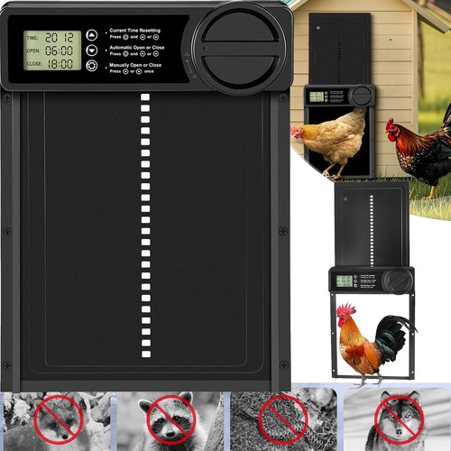 Automatische hühnerklappe - automatische,