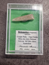 💎⚒ Opalisiert Belemnit