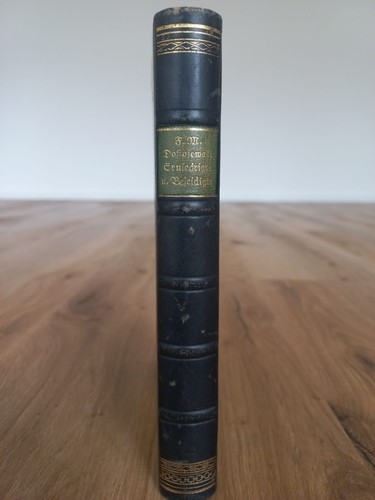 Erniedrigte und beleidigte - und, –