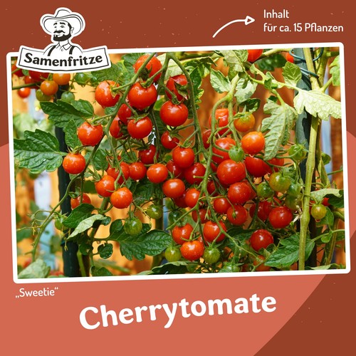 Sweetie tomatensamen für - sweetie,