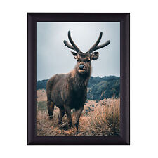 Posterrahmen, Bilderrahmen