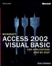 Microsoft Access 2002 Visual