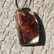 Anhänger aus Robinie Maser in