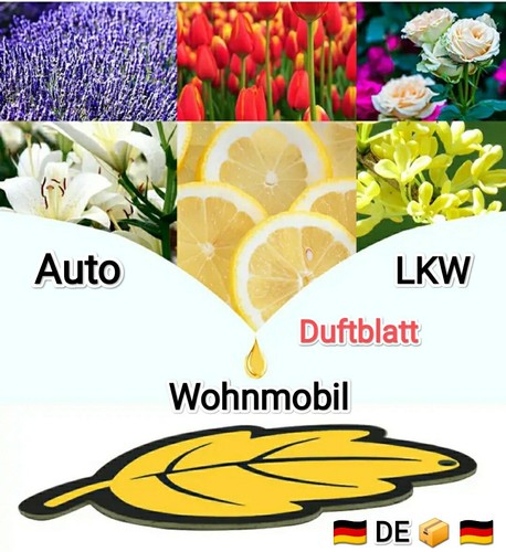 Wunderblatt duft blatt - ✅wunderblatt,