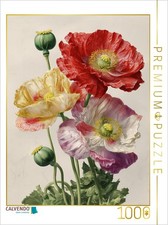 CALVENDO Puzzle Feurige