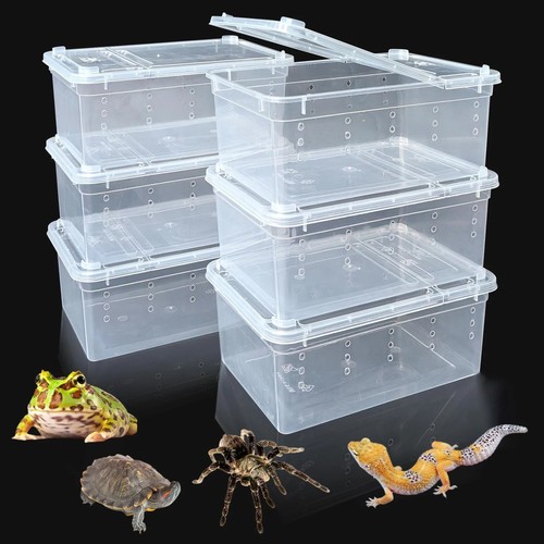 Reptilien transportbox - 6x,