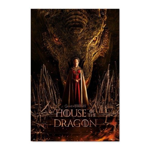 Poster house the dragon - poster,