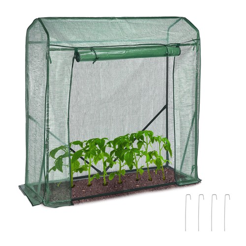 Tomaten gewächshaus