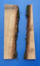 Baumscheibe, vollholzplatte