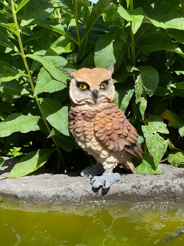 Deko eule vogel - deko,