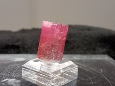 roter Turmalin - Elbait - Agua Branca Mine - Minas Gerais - Brasilien