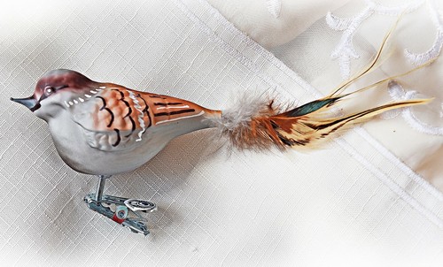 Hausspatz glasvogel - ❀,