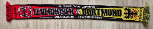 Bayer leverkusen borussia - bayer, vs