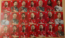 Set Bayern AK - ALLE signiert - Autogrammkarten 2018-19 Robben Ribery Rodriguez