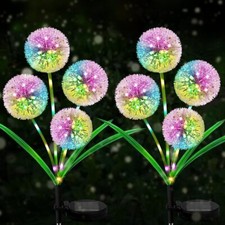 2pcs LED Solar Löwenzahn