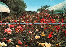 D076038 S. Damiano di S