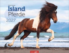 Islandpferde Kalender 2027 |