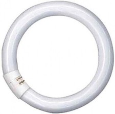 Osram Lumilux-Lampe L 32W/840