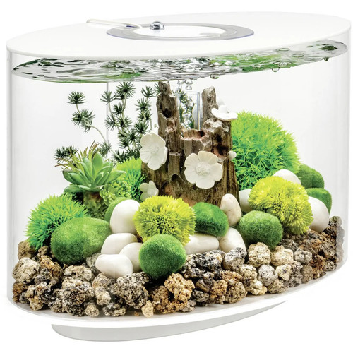 Oase aquarium fischbecken - aquarium,