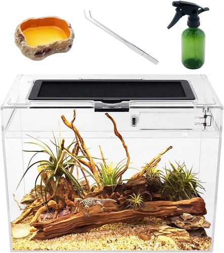Terrarium komplettset 12x7x9 - terrarium,