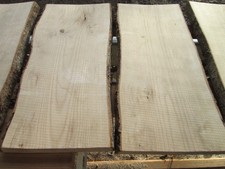 6 x Eschenholz, Esche