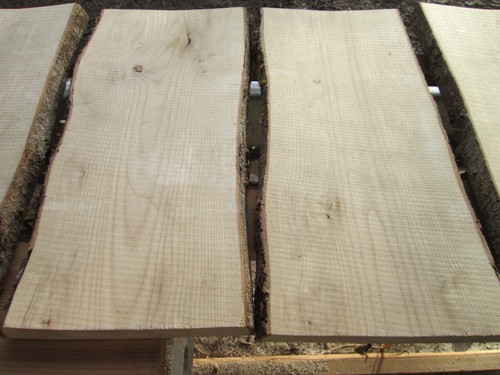Eschenholz esche - eschenholz,,