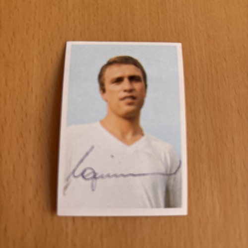 Bergmann 1972 signiert