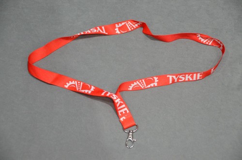 Tyskie polnisches bier - tyskie,
