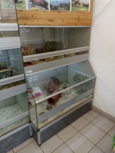 Nager verkaufsanlage - nager,