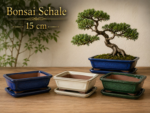 Bonsaischale rechteckig cm - bonsaischale, 15