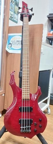 Edwards forest type - type, red