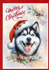 Weihnachtskarte Siberian Husky