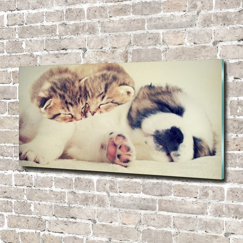 Glas bild wandbilder druck auf - glas-bild,