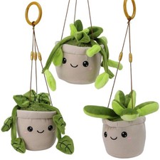 Take Me Home Hängepflanze aus