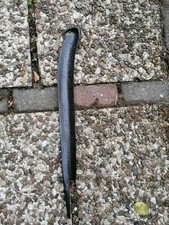 Altes französisches