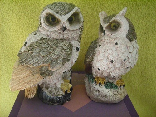 2er set eulen natürliche - set,