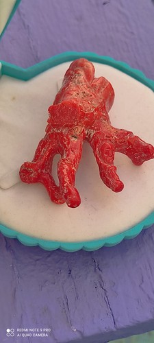 Natürliche rote koralle - rote,