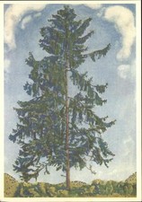 Hodler Ferdinand Die Tanne Baum