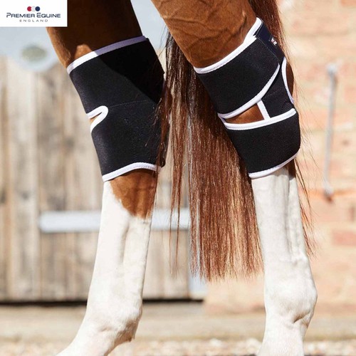 Premier equine magni teque - equine, magni-teque