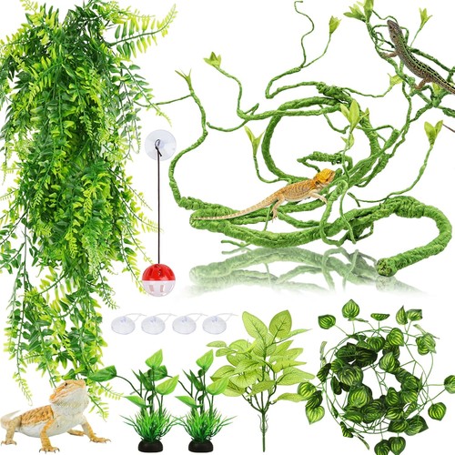 Quozuo hängepflanze terrarium - quozuo,