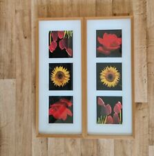 2x IKEA Bild ERIKSLUND 72 x 32 cm Blumen Rose Tulpe Sonnenblume 2x 