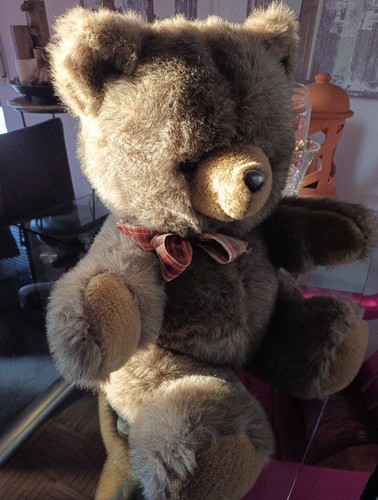 Teddybär plüschtier - teddybär,