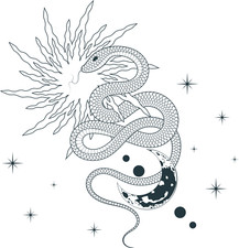 XXL 18X18 Car Decal Snake