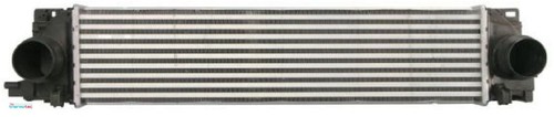 Thermotec dav010tt - thermotec,