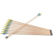 Holzpfeile 12 Stück für